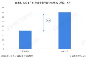 KTV收入占比KTV消费者年龄分布